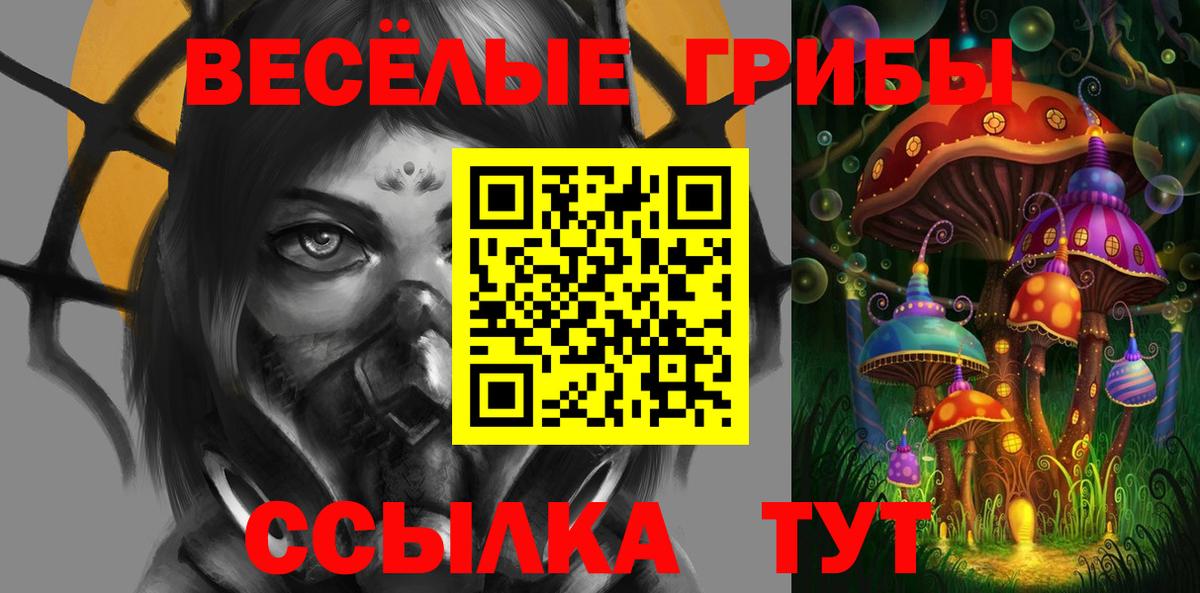 Галлюциногенные грибы GOLDEN TEACHER Сочи