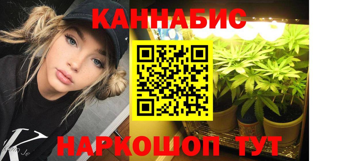 Бошки марихуана планчик Сочи